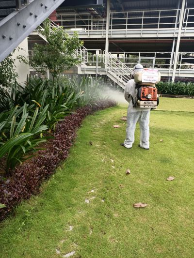 Dịch vụ diệt côn trùng